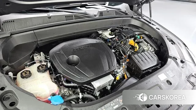 Renault Korea (Samsung) Grand Coleos id 3278032 из Кореи 16