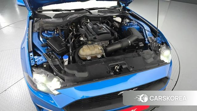 Ford Mustang id 3839769 из Кореи 16