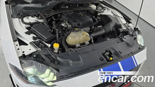 Ford Mustang id 2818543 из Кореи 16