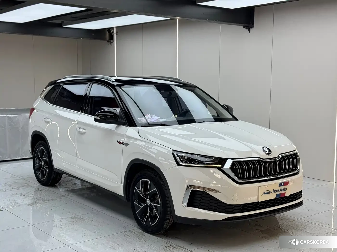 Skoda Komick id 4545669 из Китая 8