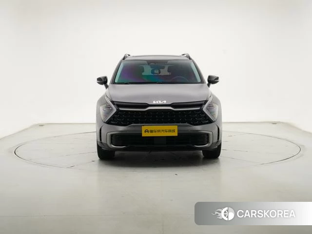 Kia Lion Platinum expands the world id 4259377 из Китая 24