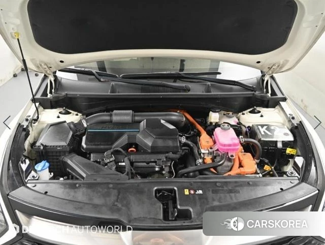 Kia Sportage 5th Generation Hybrid id 4848506 из Кореи 16