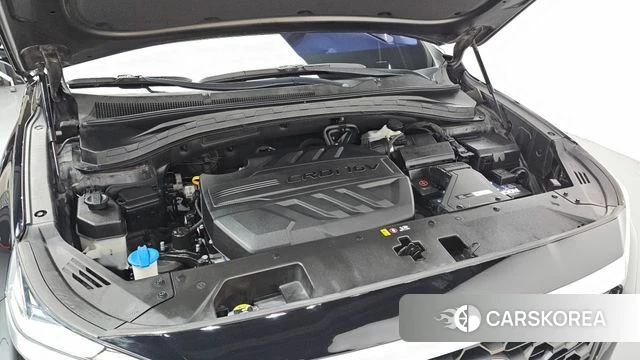 Hyundai Santa Fe TM id 4605195 из Кореи 16