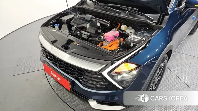 Kia Sportage 5th Generation Hybrid id 3649806 из Кореи 16