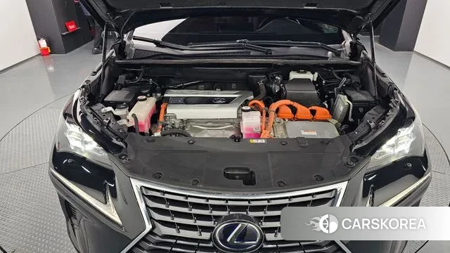 Lexus NX300h id 3535256 из Кореи 16