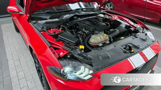 Ford Mustang id 3845743 из Кореи 16