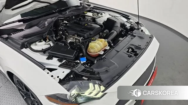 Ford Mustang id 2915963 из Кореи 16