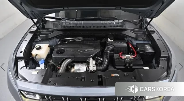 Ssangyong Torres id 3432433 из Кореи 16