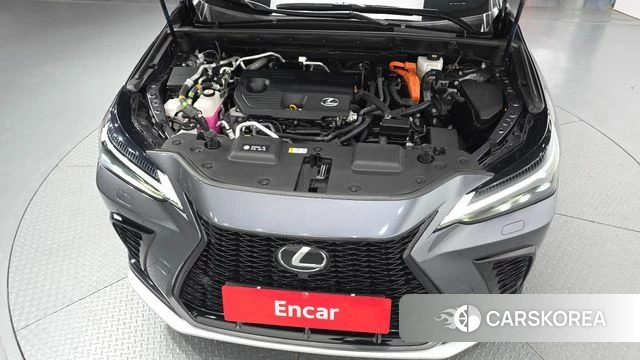 Lexus NX450h + 2nd generation id 4281748 из Кореи 16