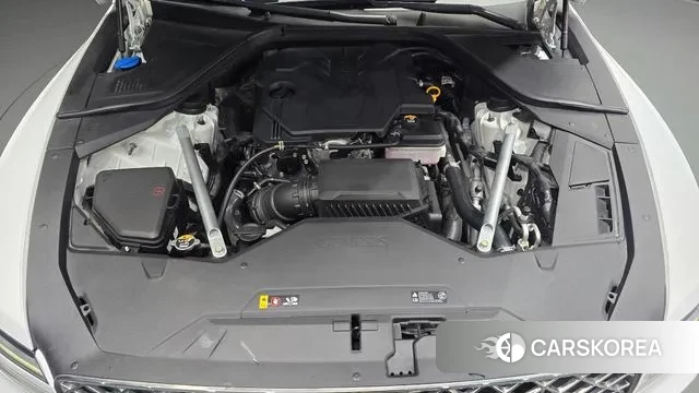 Genesis G80 (RG3) id 3012082 из Кореи 16