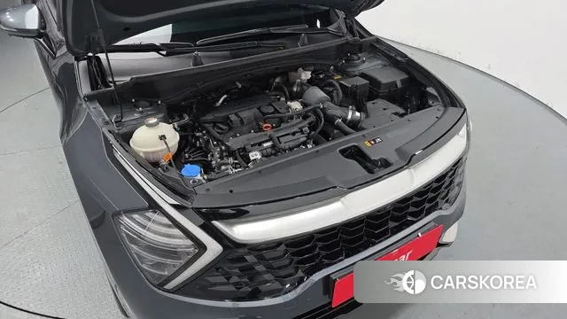 Kia Sportage 5th Generation id 3701443 из Кореи 16