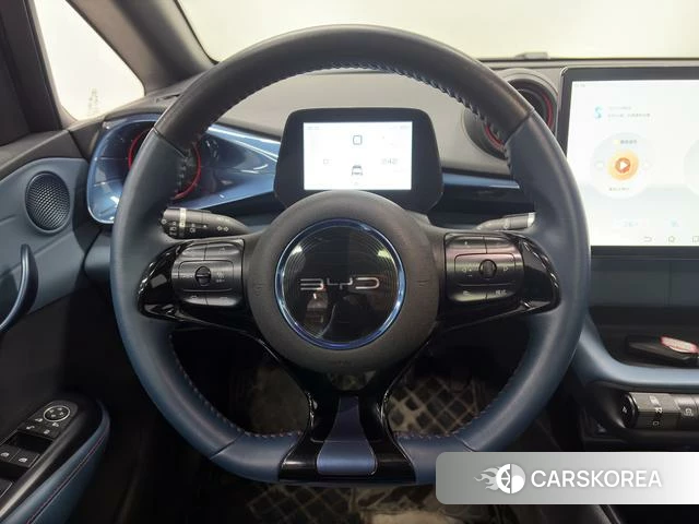 BYD dolphin id 4216848 из Китая 16