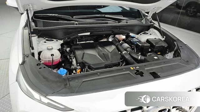 Hyundai The New Santa Fe id 4415482 из Кореи 26