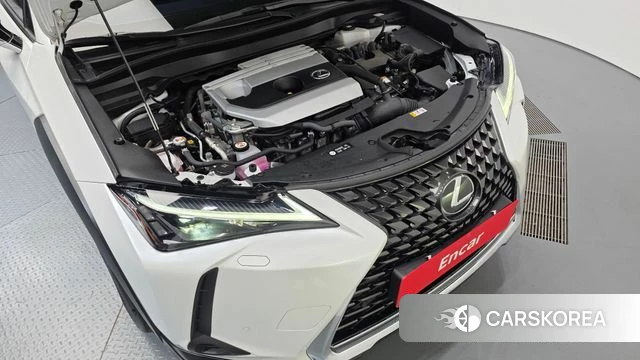 Lexus UX250h id 4517438 из Кореи 26
