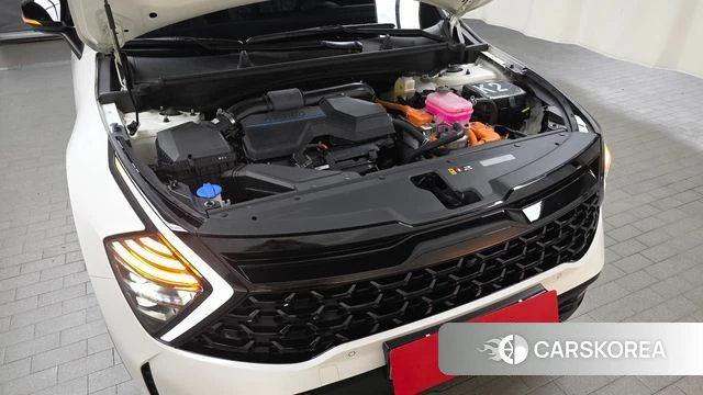Kia Sportage 5th Generation Hybrid id 4178099 из Кореи 16