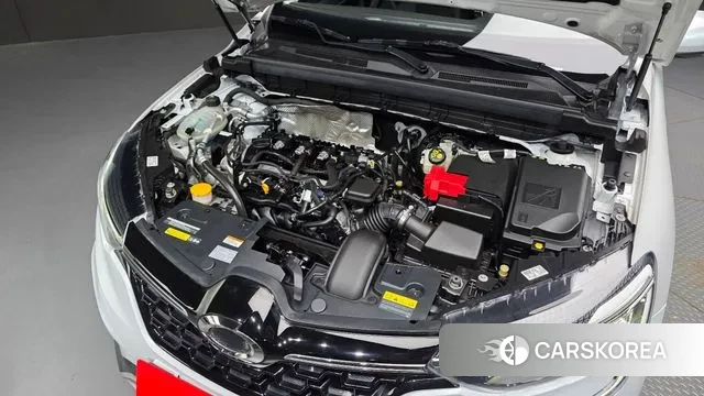 Renault Korea (Samsung) XM3 id 3273118 из Кореи 16