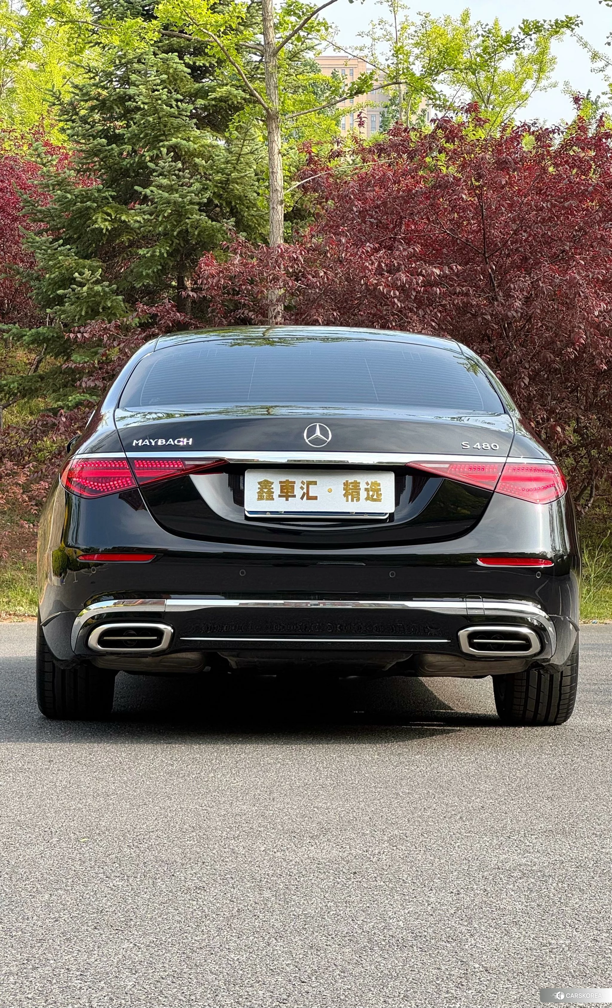 Mercedes-Benz Maybach S-class id 4454650 из Китая 14