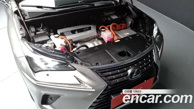 Lexus NX300h id 2844661 из Кореи 16