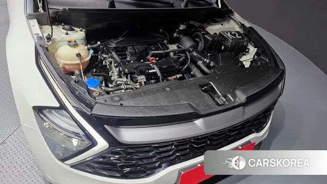 Kia Sportage 5th Generation id 3437930 из Кореи 16