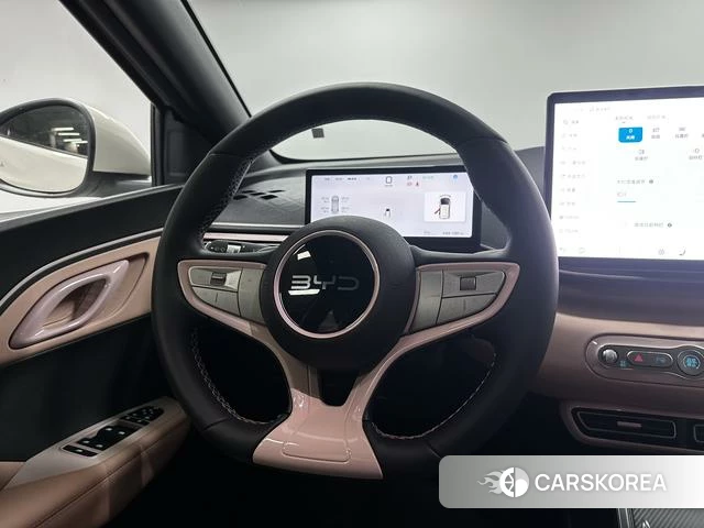 BYD Seagull id 4028236 из Китая 16