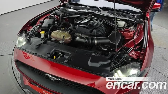 Ford Mustang id 2876376 из Кореи 16