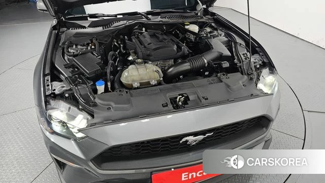 Ford Mustang id 4475681 из Кореи 28