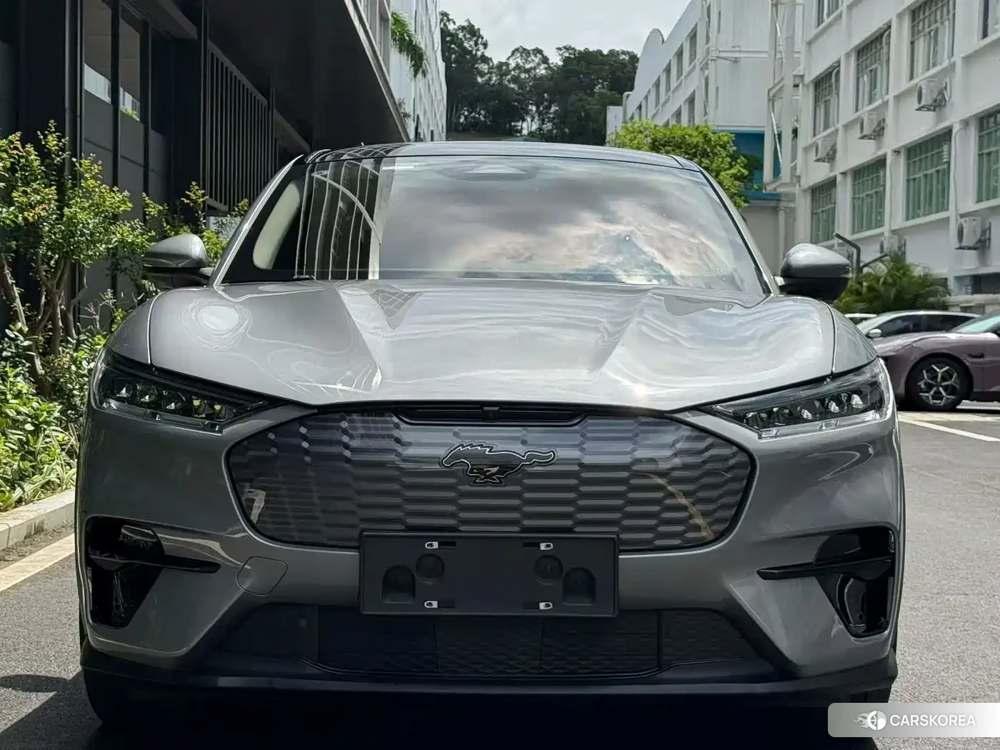 Ford Electric horse 2022 Silver/gray из Китая, фото 6