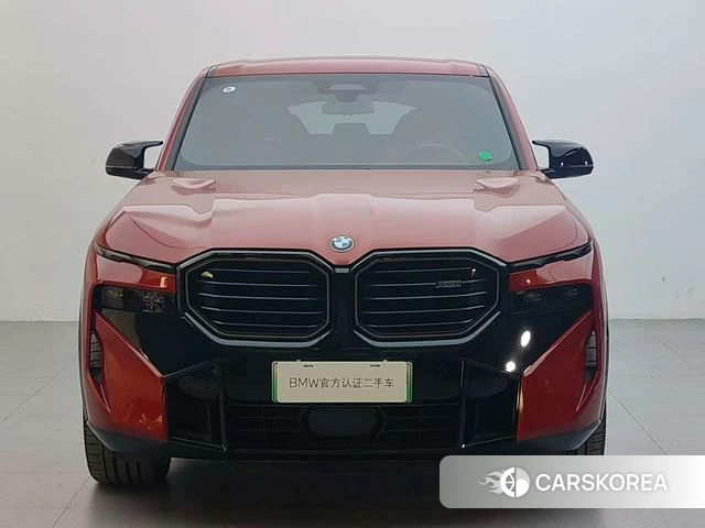 BMW XM id 4257474 из Китая 14