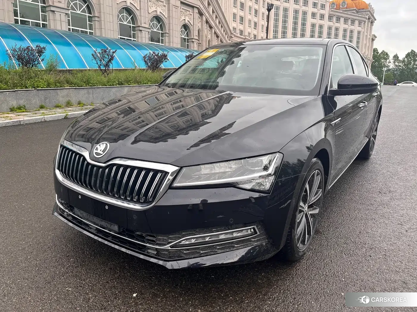 Skoda Speed pie id 4538584 из Китая 11