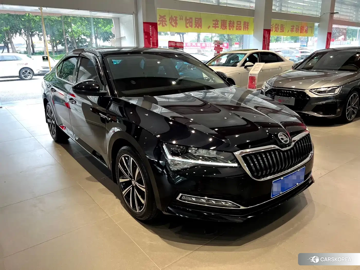 Skoda Speed pie id 4547315 из Китая 19