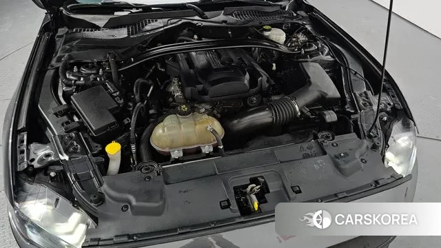 Ford Mustang id 3510013 из Кореи 16