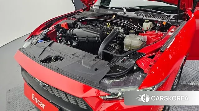 Ford Mustang 7th Generation id 3447159 из Кореи 16