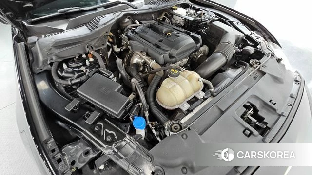 Ford Mustang id 4593371 из Кореи 26