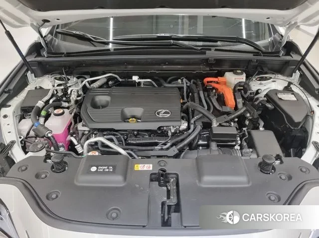 Lexus NX450h + 2nd generation id 3382800 из Кореи 14