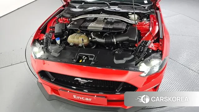 Ford Mustang id 3552275 из Кореи 16