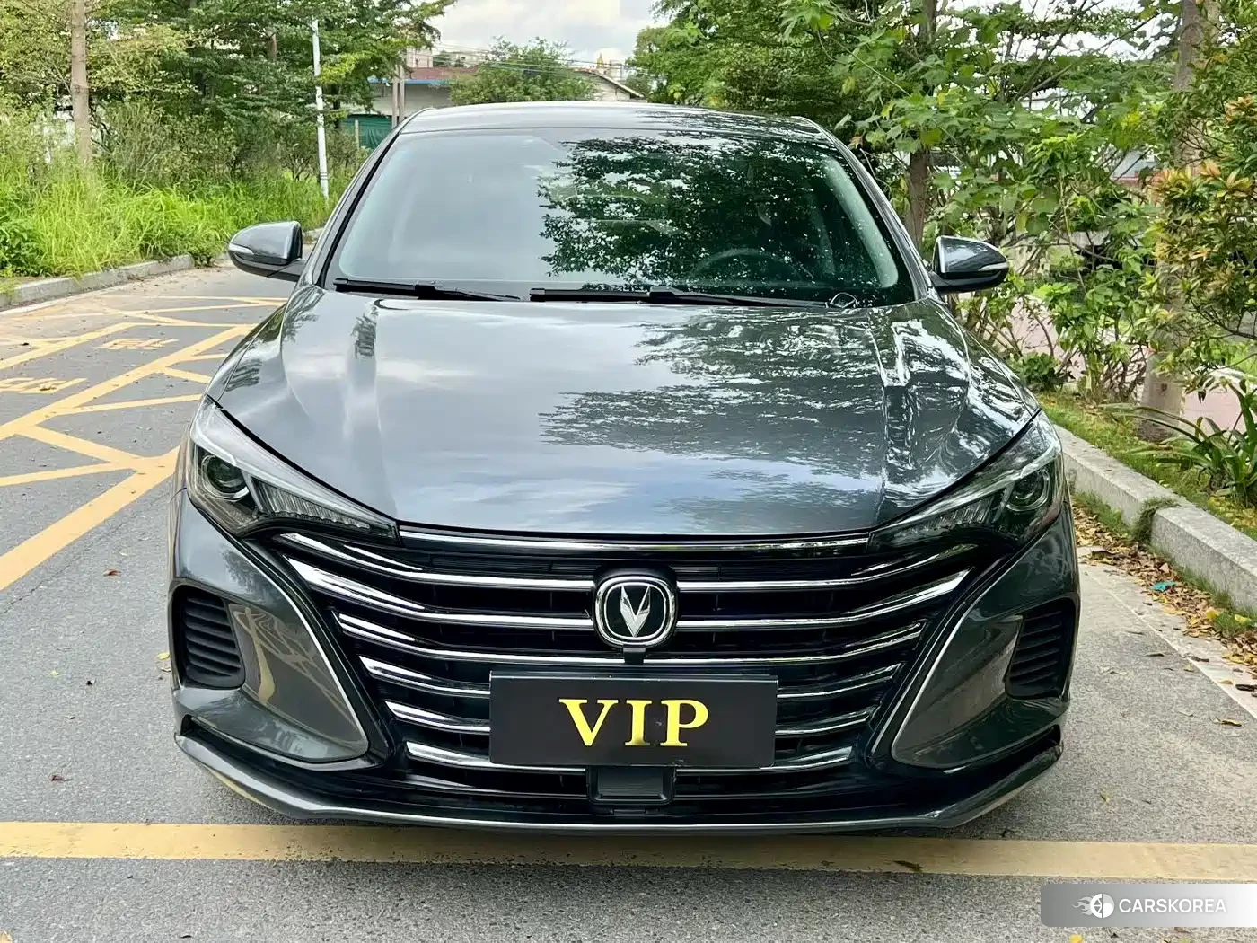 Chang'an Yidong 2021 Silver/gray из Китая, фото 6