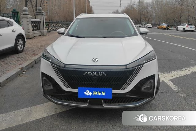 Dongfeng Fengshen Hao Han id 4207503 из Китая 13