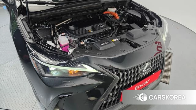 Lexus NX350h Second generation id 4853973 из Кореи 28