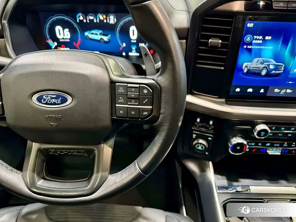 Ford F-150 Raptor id 4578196 из Китая 25