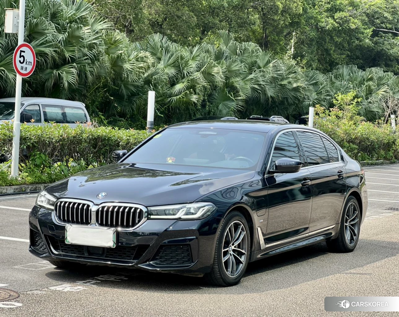 BMW 5 series PHEV id 4405942 из Китая 8