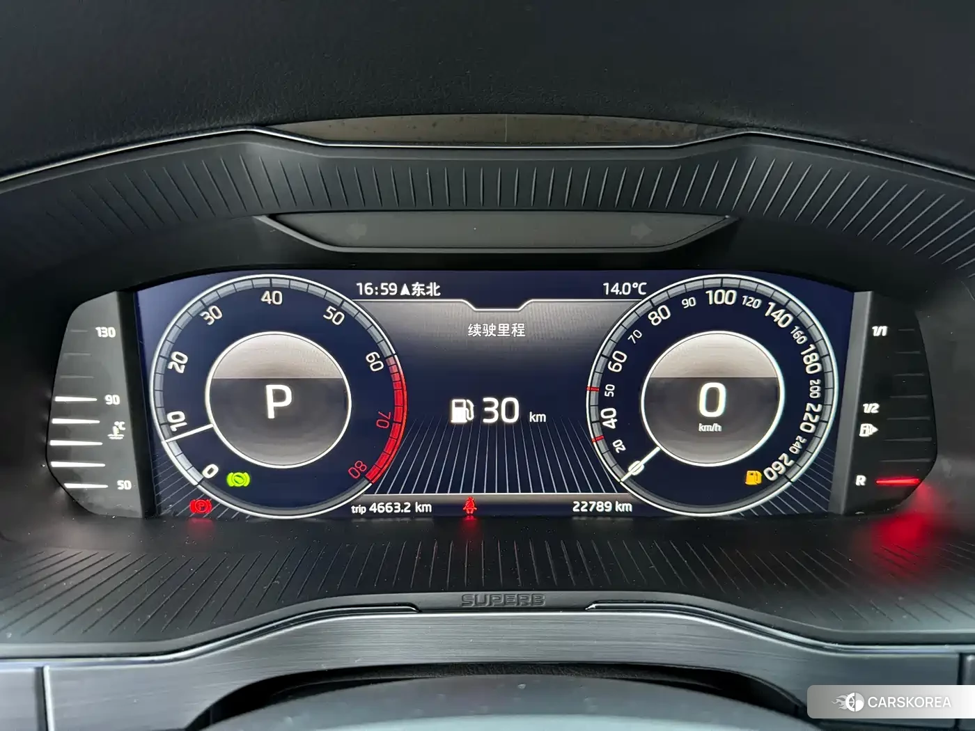 Skoda Speed pie id 4570400 из Китая 12