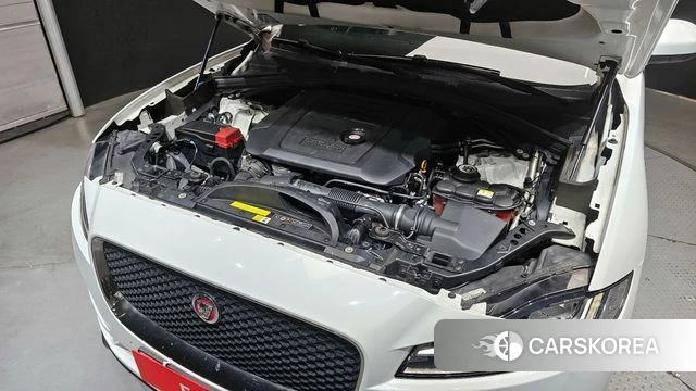 Jaguar F-PACE id 3861102 из Кореи 16