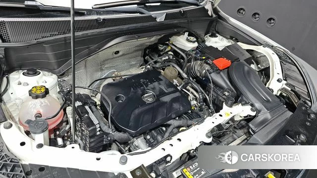 Chevrolet (GM Daewoo) Trailblazer id 3899201 из Кореи 16