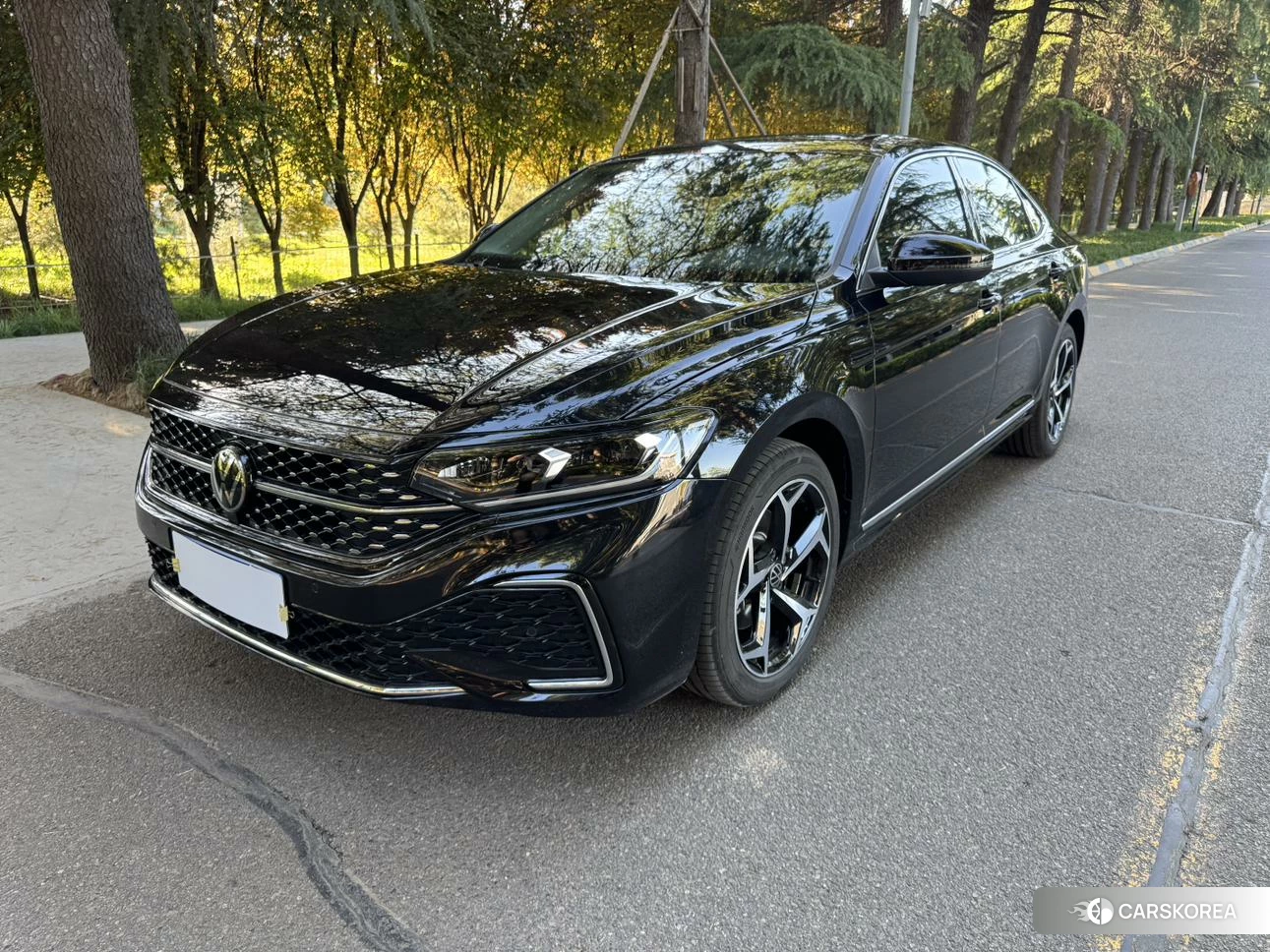Volkswagen Passat 2025 Черный из Китая, фото 6