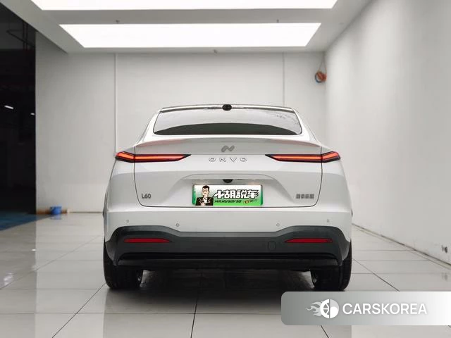 Happy Road L60 2025 Белый из Китая, фото 6