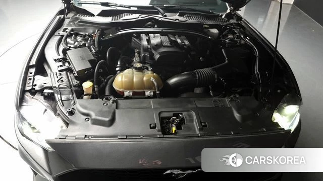 Ford Mustang id 3807971 из Кореи 16