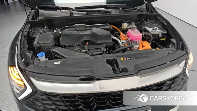 Kia Sportage 5th Generation Hybrid id 3388453 из Кореи 16