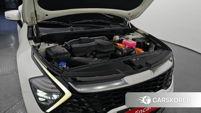 Kia Sportage 5th Generation Hybrid id 3865357 из Кореи 16