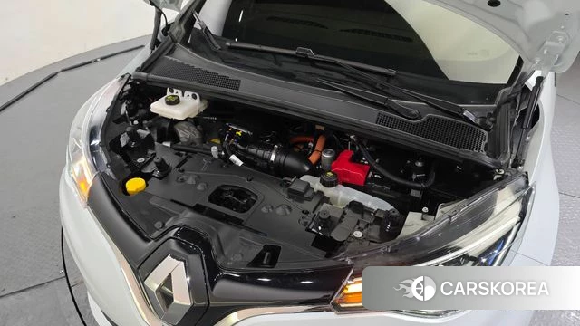 Renault Korea (Samsung) Joe id 3878731 из Кореи 16