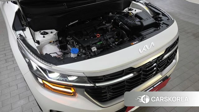 Kia The New Seltos id 3891090 из Кореи 16